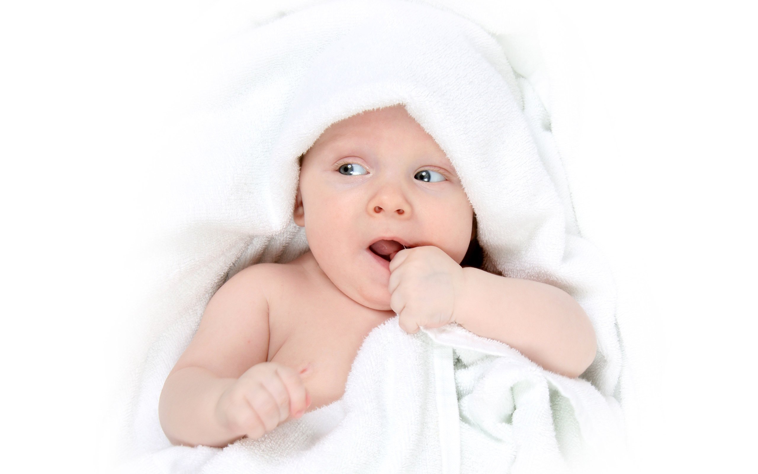 捐卵联系方式试管婴儿多久可以成功